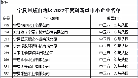 喜 报—公司入选自治区2022年度创新型中小企业